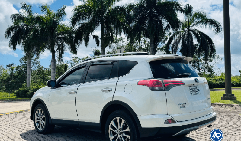 
2017 Toyota Rav4 full									